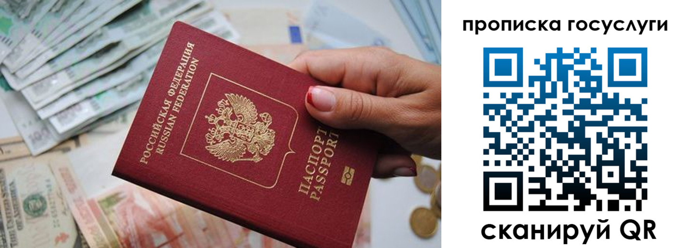 прописка поиск в Марий Эл